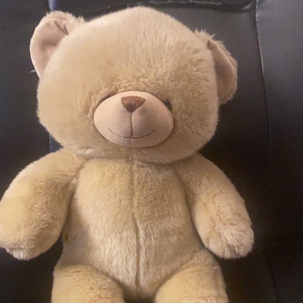 Build a bear Latte teddy bear HTF